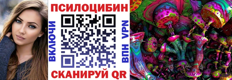Псилоцибиновые грибы Cubensis  hydra как войти  дарк нет Telegram  купить наркотики цена  Болотное 